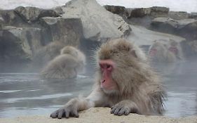湯田中湯本